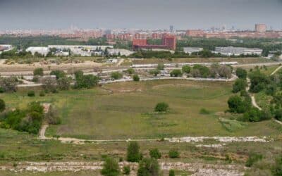 El gran anillo verde de Valdecarros: así se integrará el barrio con el Bosque Metropolitano de Madrid
