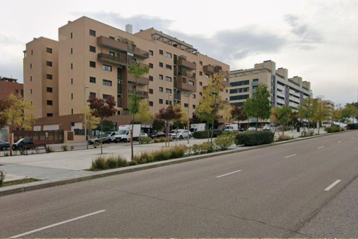 Avenida Blas de Lezo, El Cañaveral